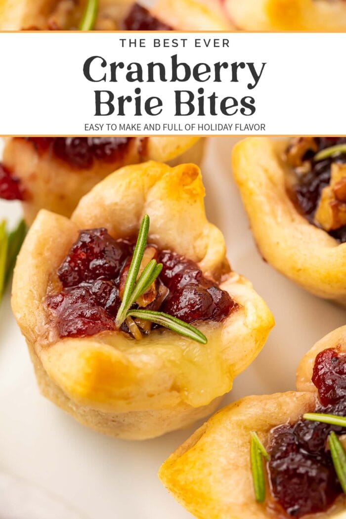 Pin graphic for cranberry brie bites