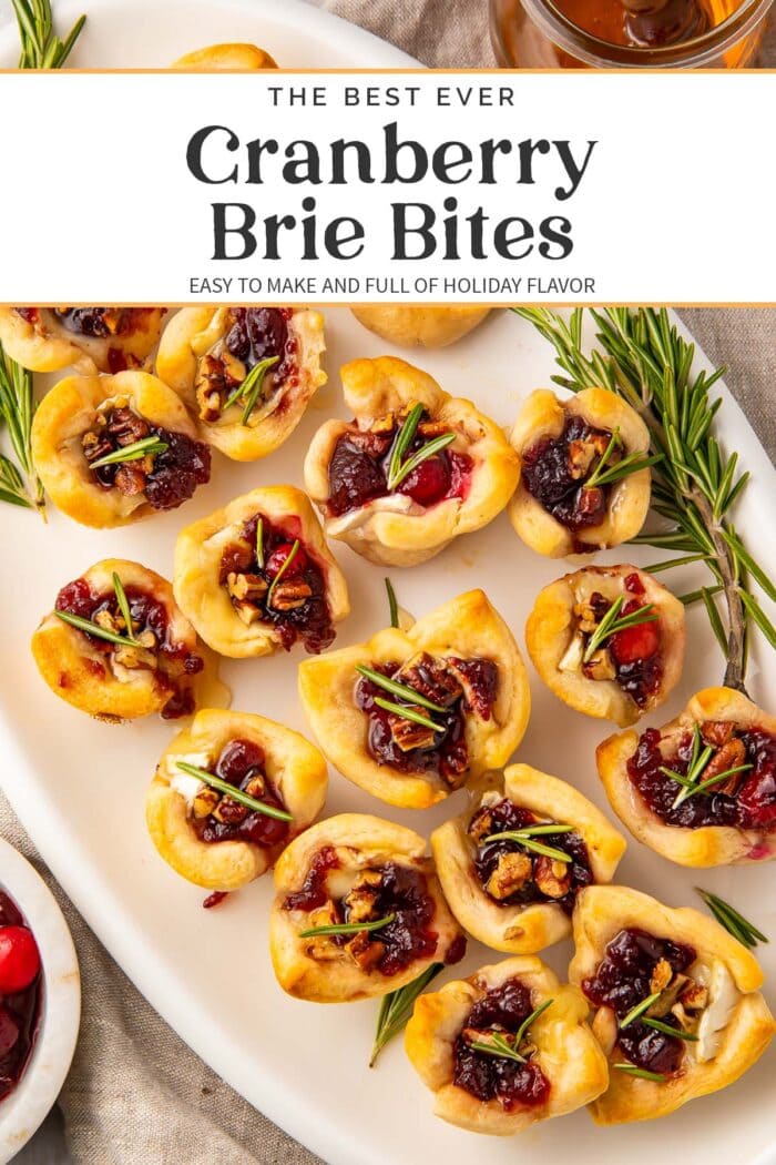 Pin graphic for cranberry brie bites