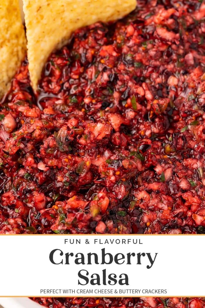 Pin graphic for cranberry salsa