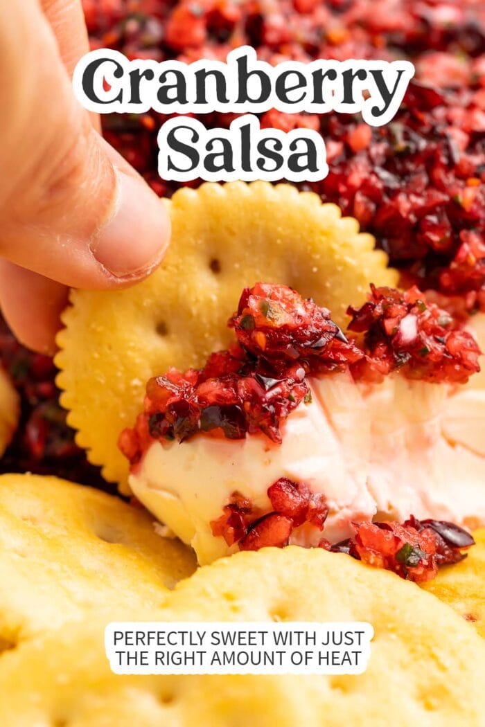 Pin graphic for cranberry salsa