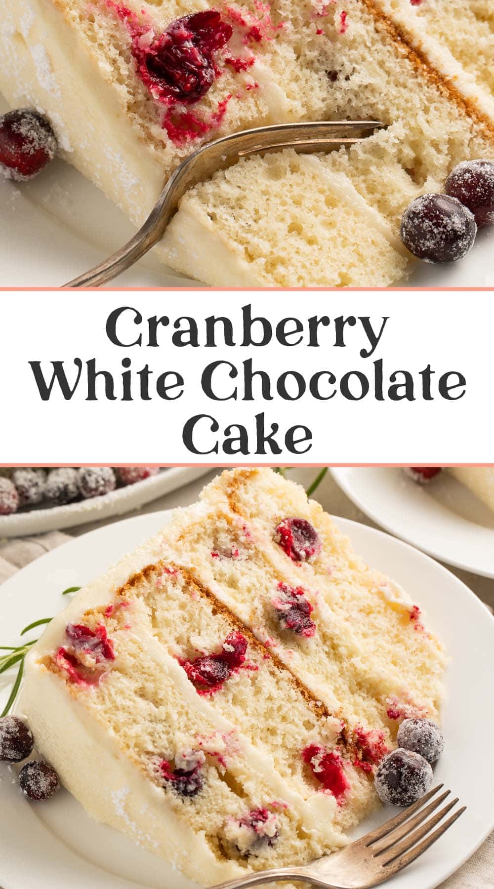 Easy Cranberry White Chocolate Cake - 40 Aprons