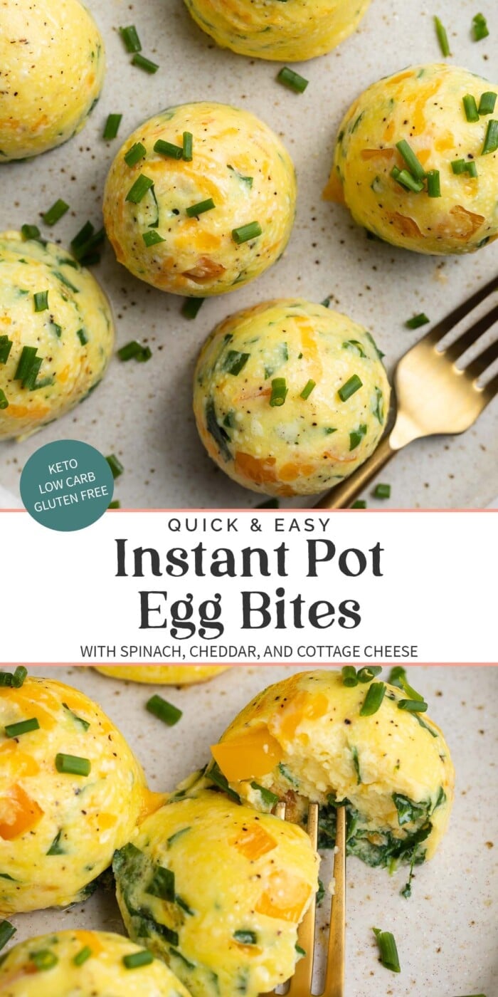 Pin graphic for Instant Pot egg bites
