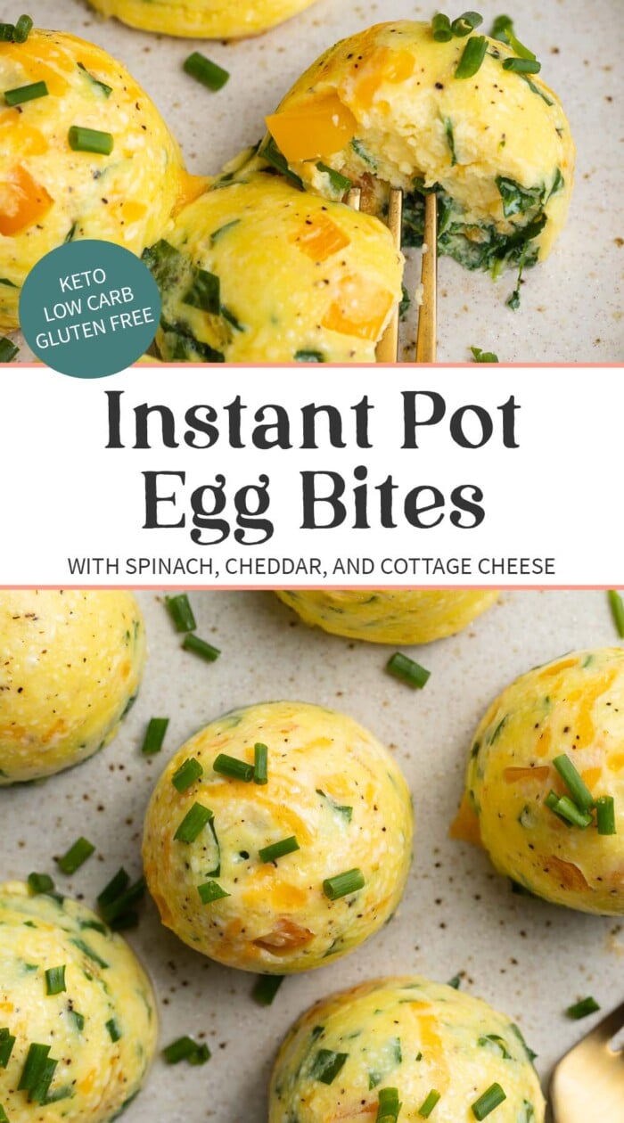 Pin graphic for Instant Pot egg bites