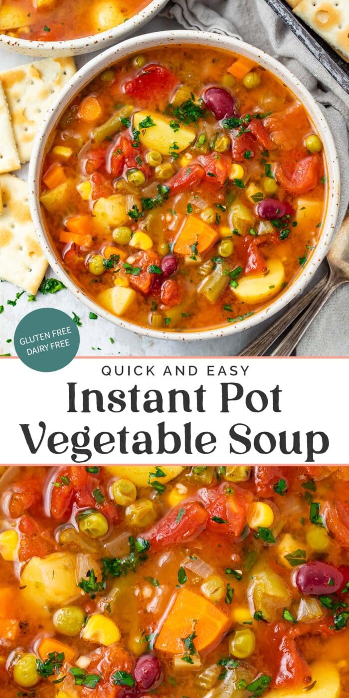 Pin graphic for Instant Pot vegetable soup