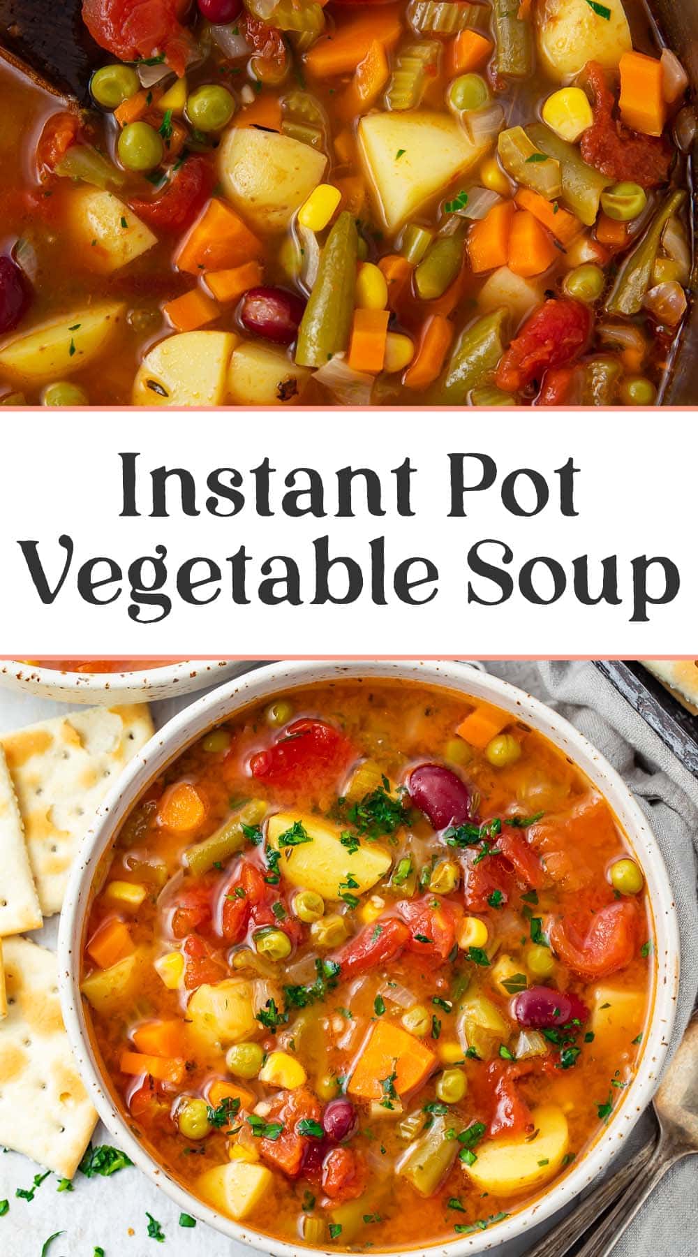 Instant Pot Vegetable Soup - 40 Aprons