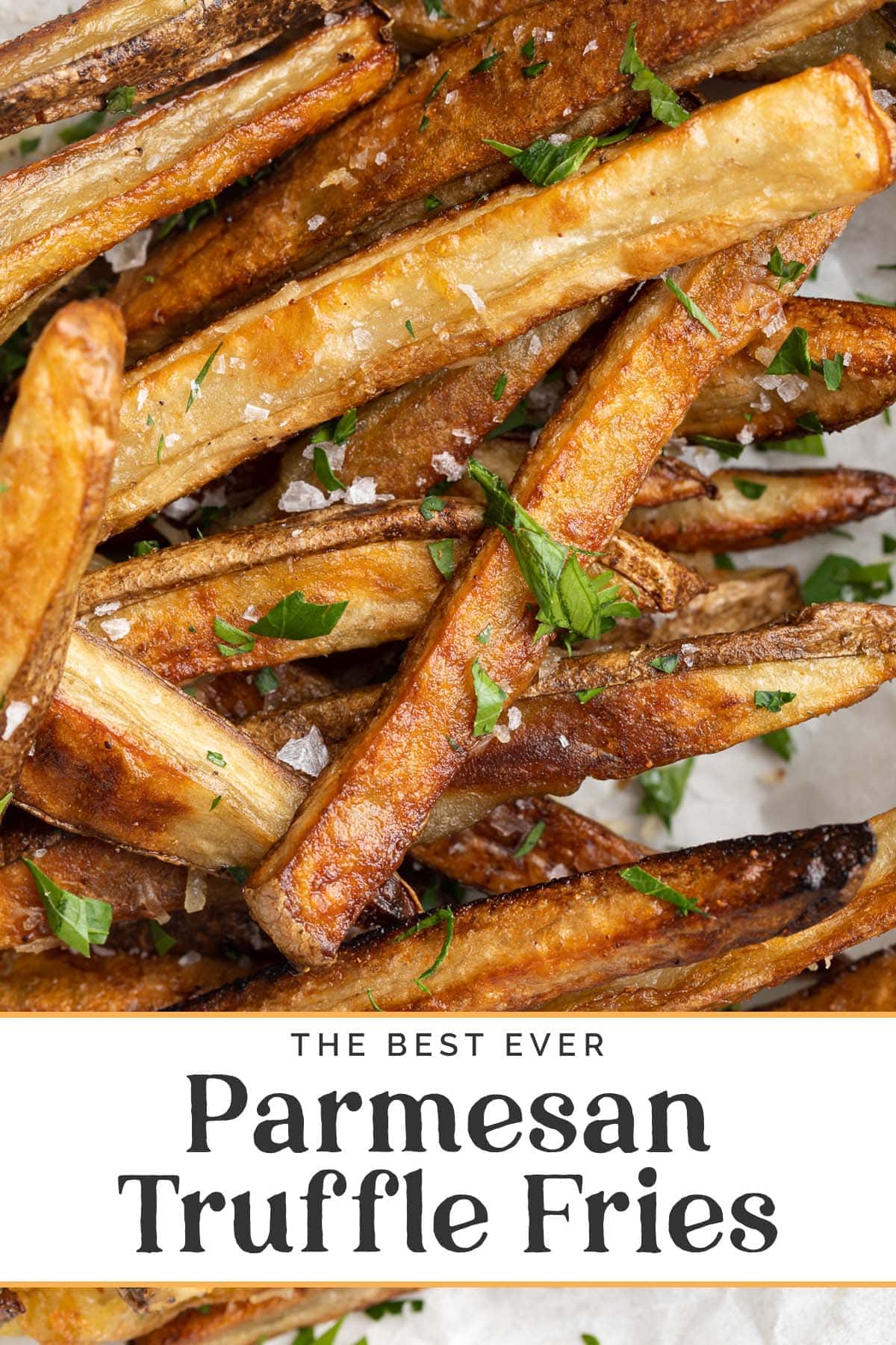 The BEST Parmesan Truffle Fries - 40 Aprons