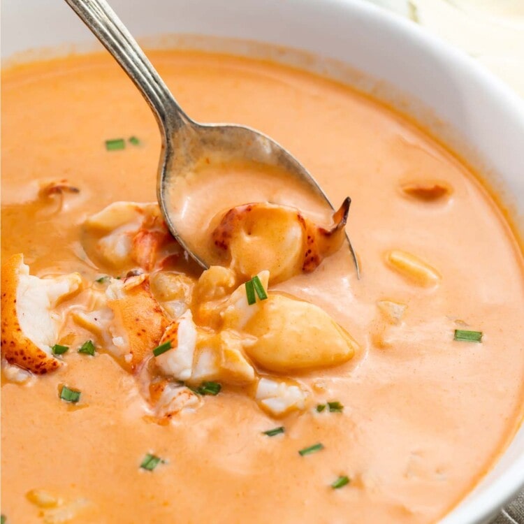 Lobster bisque in a white bowl