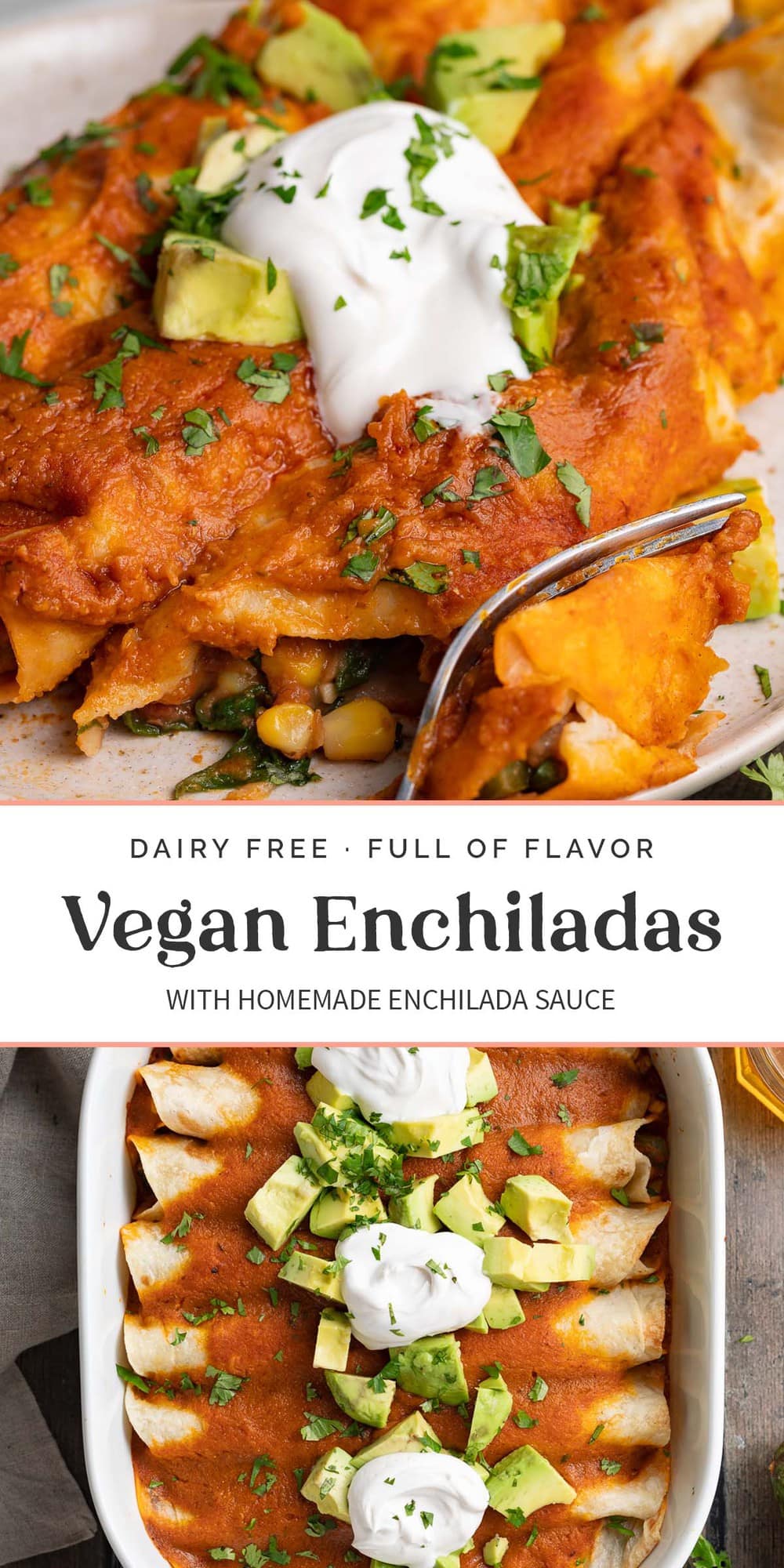 Vegan Enchiladas - 40 Aprons