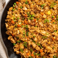 Restaurant-Style Chicken Fried Rice - 40 Aprons