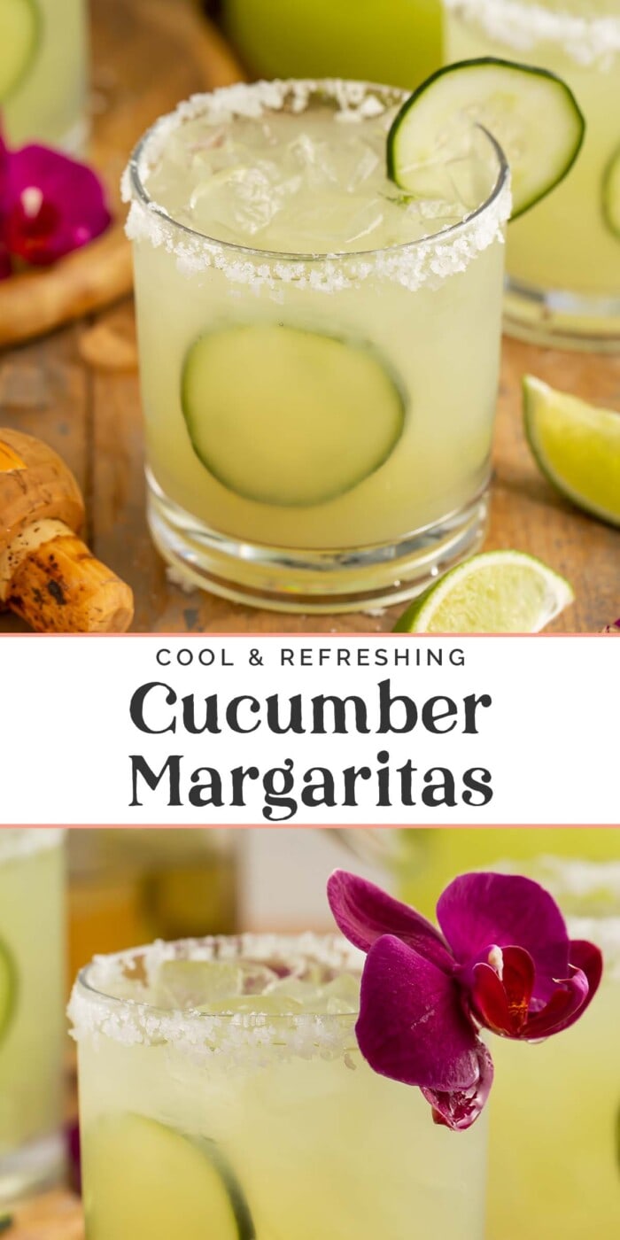 Pin graphic for cucumber margaritas.