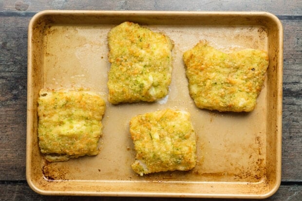 Overhead view of 4 potato-crusted cod fillets on a worn baking sheet.