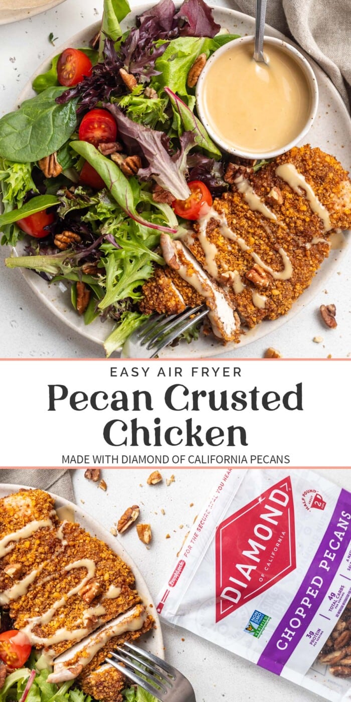Pecan Crusted Chicken Pin Graphics with Air Fryer.