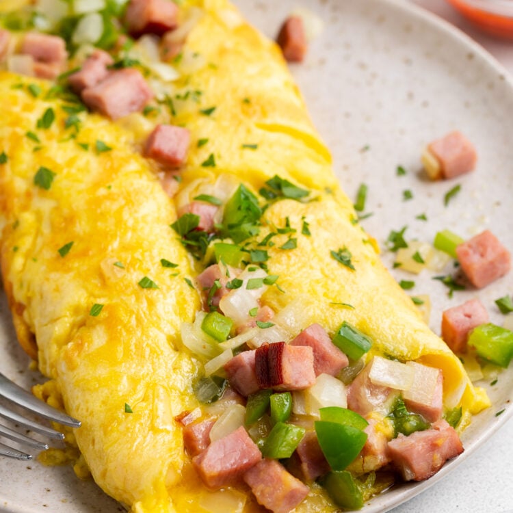 Angled view of a Denver omelette on a plate, with a bowl of ketchup in the background, and ham and green onions surrounding.