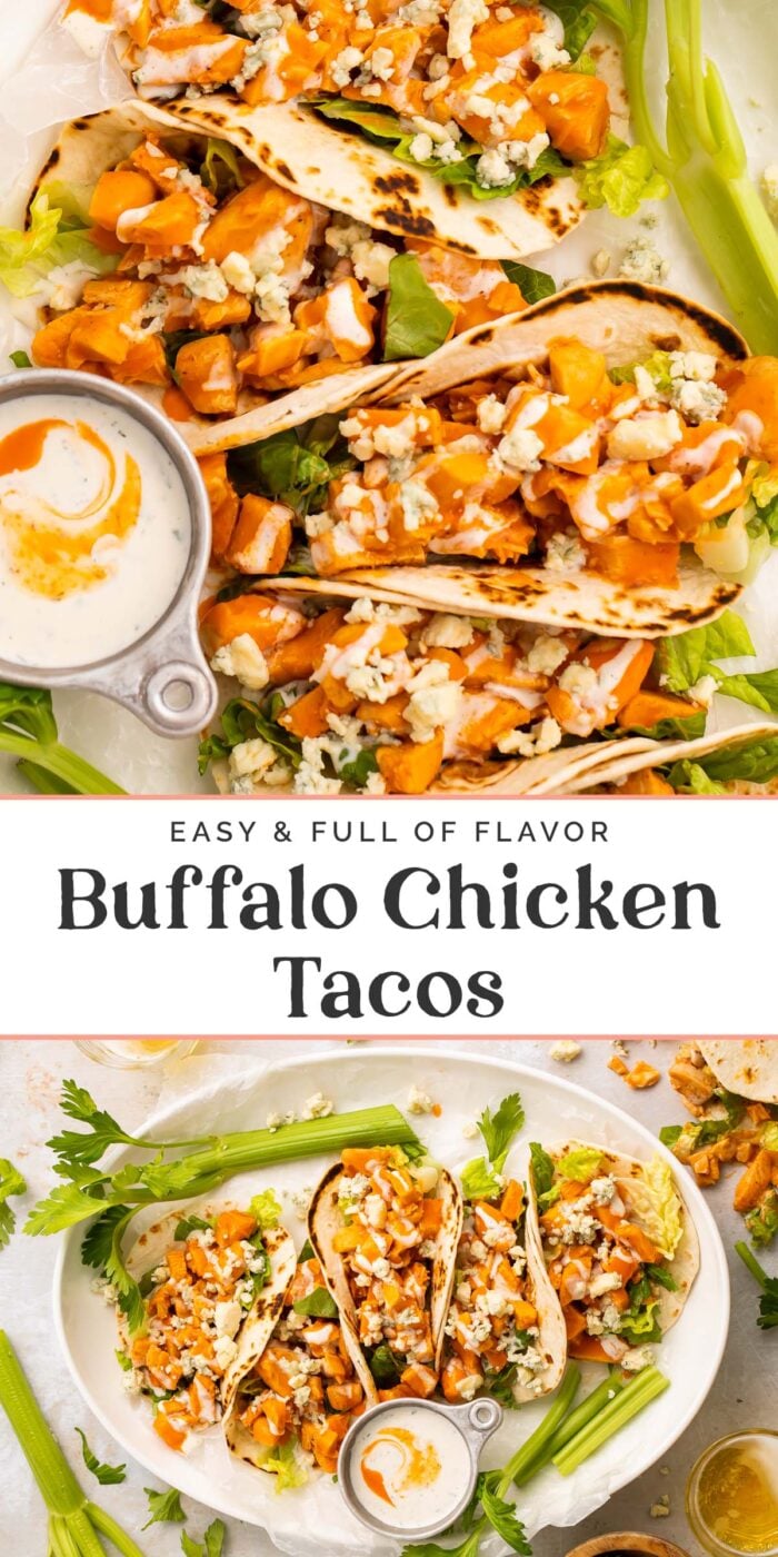 Pin graphic for buffalo chicken tacos.
