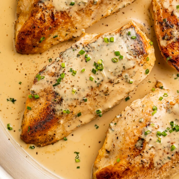 https://40aprons.com/wp-content/uploads/2022/06/creamy-boursin-chicken-2-750x750.jpg