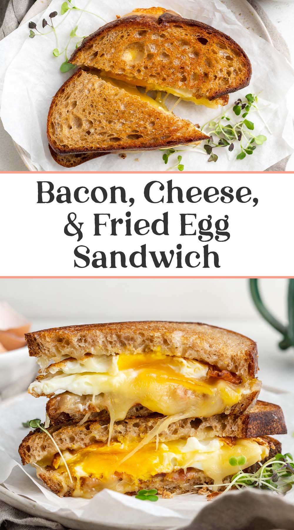 Fried Egg Sandwich with Cheese and Bacon - 40 Aprons