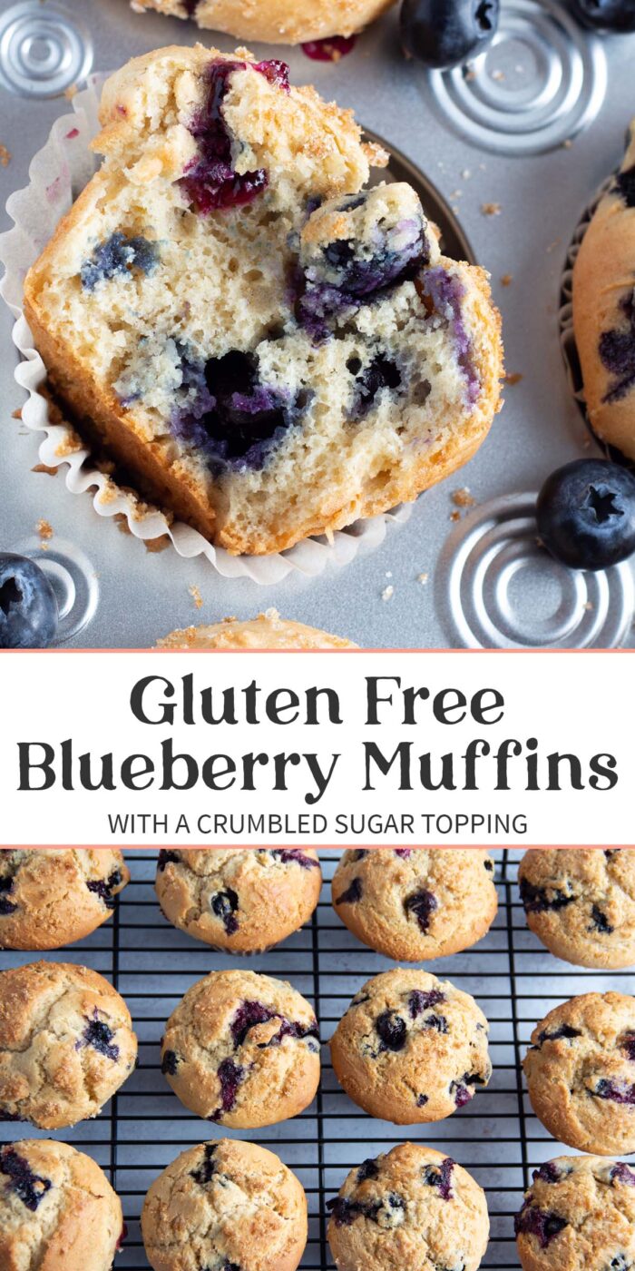 Pin graphic for gluten free blueberry muffins.