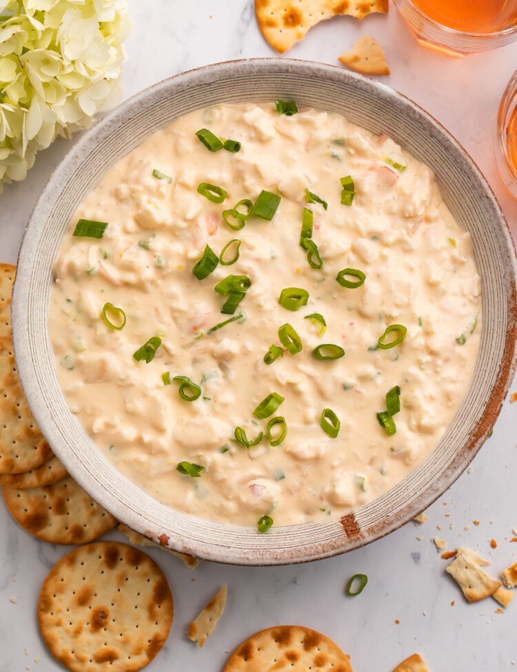 Overhead view of a large vintage bowl of shrimp dip surrounded by crackers, whole and broken.