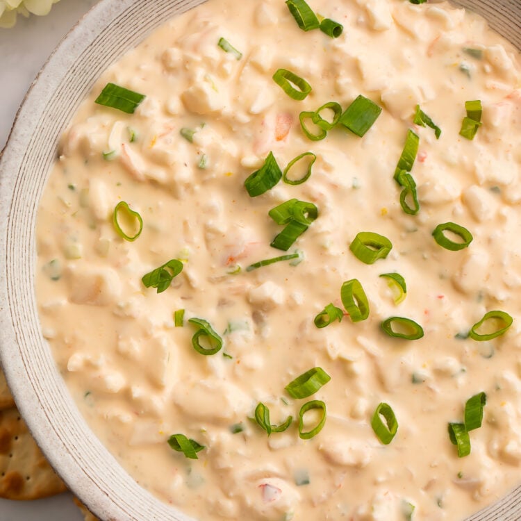 Overhead view of a large bowl of shrimp dip, garnished with chopped green onions.