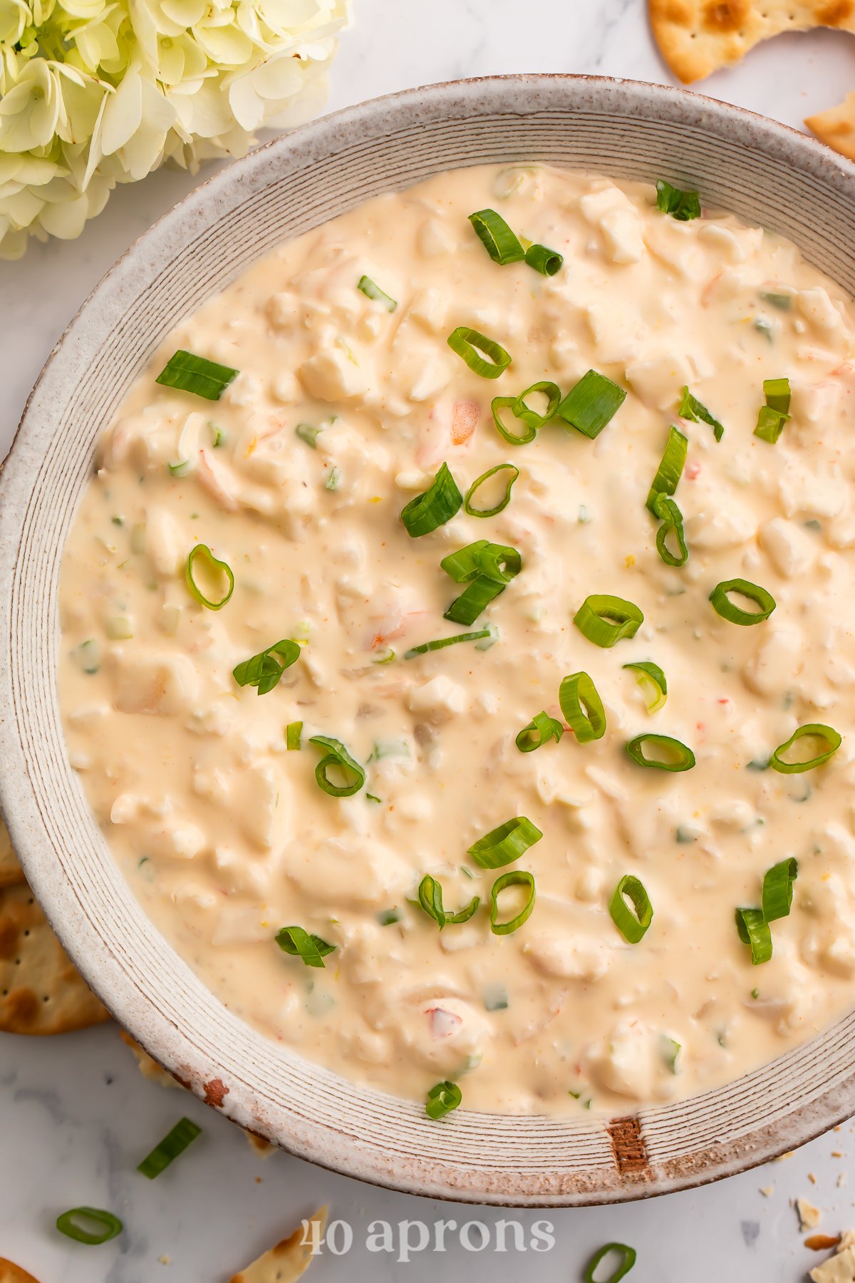 Overhead view of a large bowl of shrimp dip, garnished with chopped green onions.