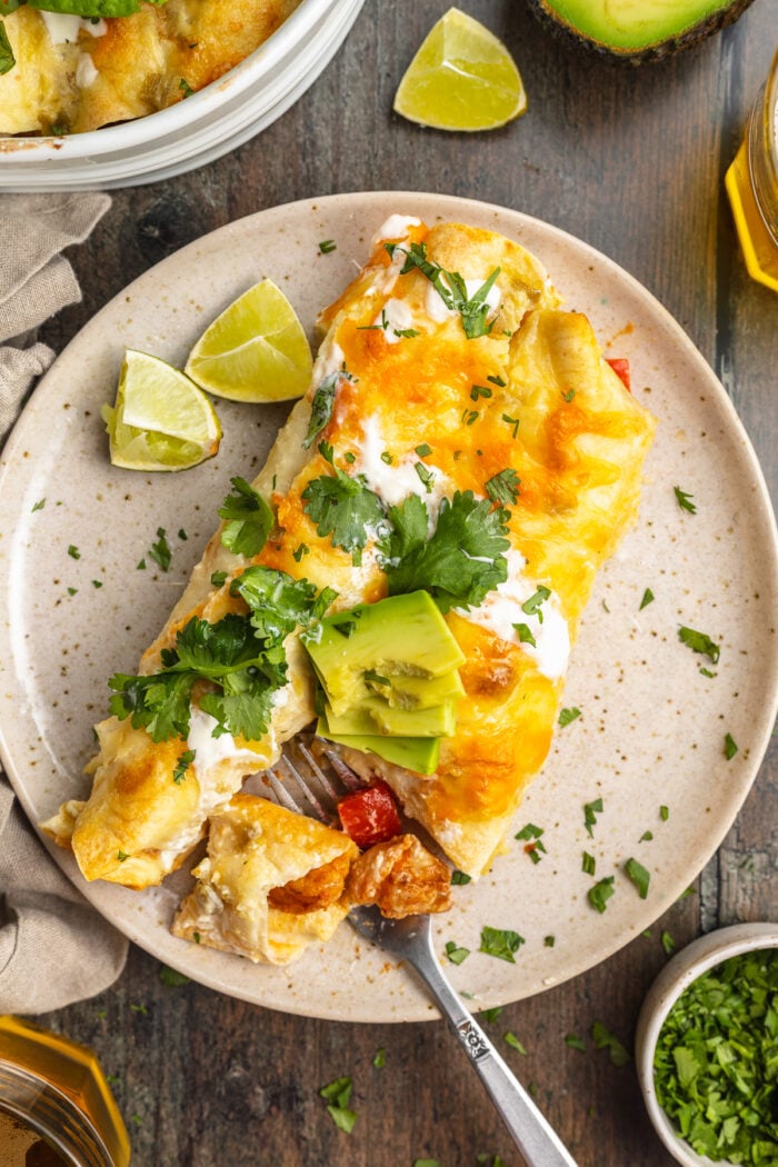 Overhead view of shrimp enchiladas on a plate with avocado slices and chopped cilantro.