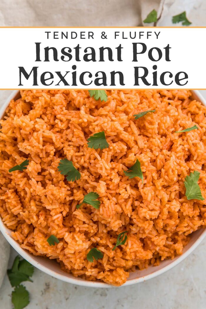 Fifteen Minute Instant Pot Mexican Rice - The Perfect Side Dish!