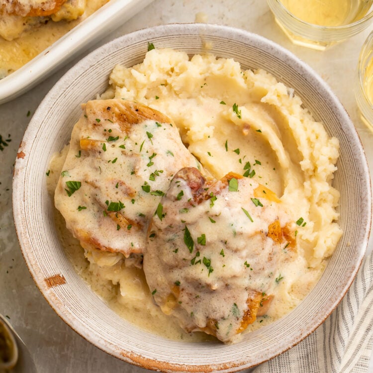 Overhead view of a bowl of chicken soup chicken over a bed of creamy mashed potatoes, with a casserole dish of chicken in the background.