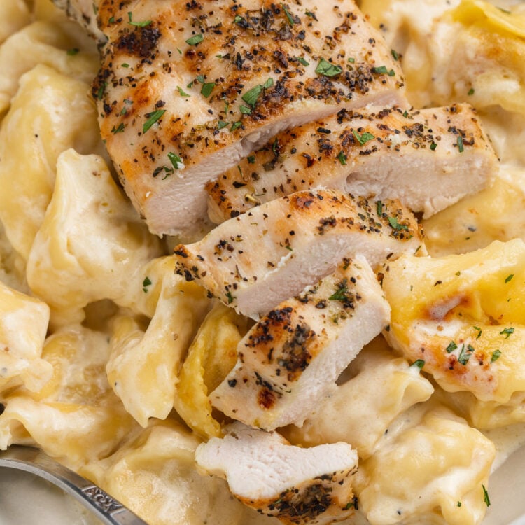 Overhead, close-up view of grilled chicken breast slices atop a bed of asiago tortelloni alfredo in a large bowl.