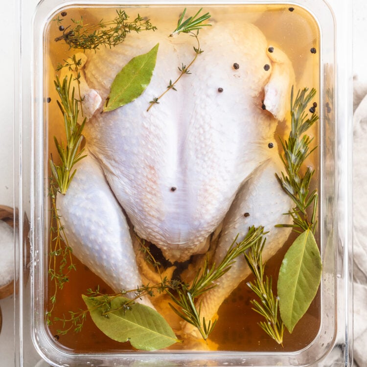Overhead view of an uncooked whole turkey resting in a container filled with brine and aromatics on a white tabletop.