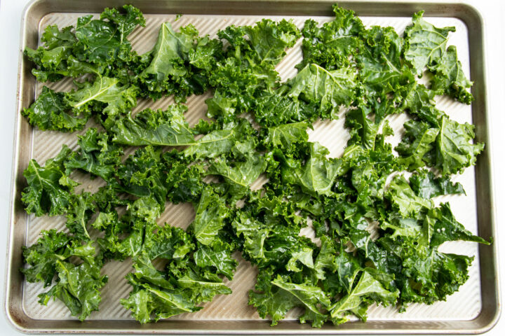 Kale leaves, chopped then seasoned with oil and garlic, spread out across a silver baking sheet.