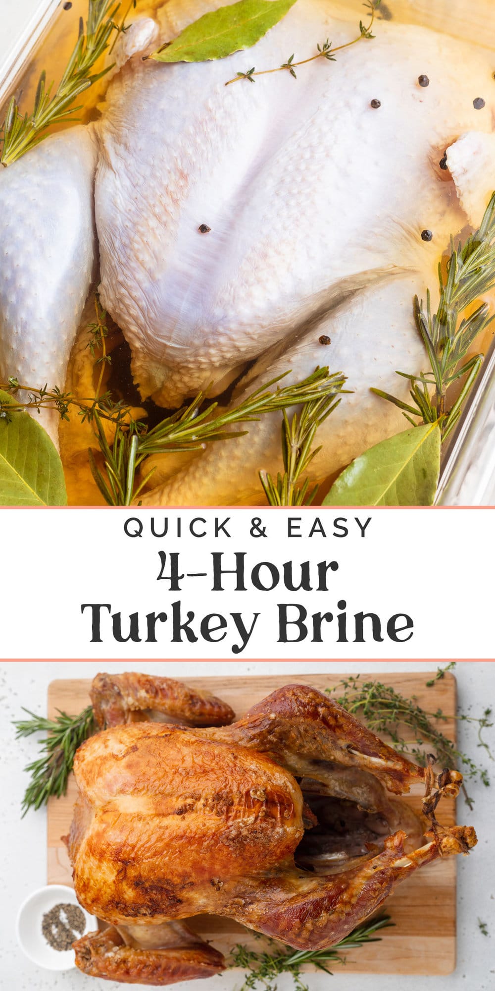 Pin graphic for quick turkey brine.