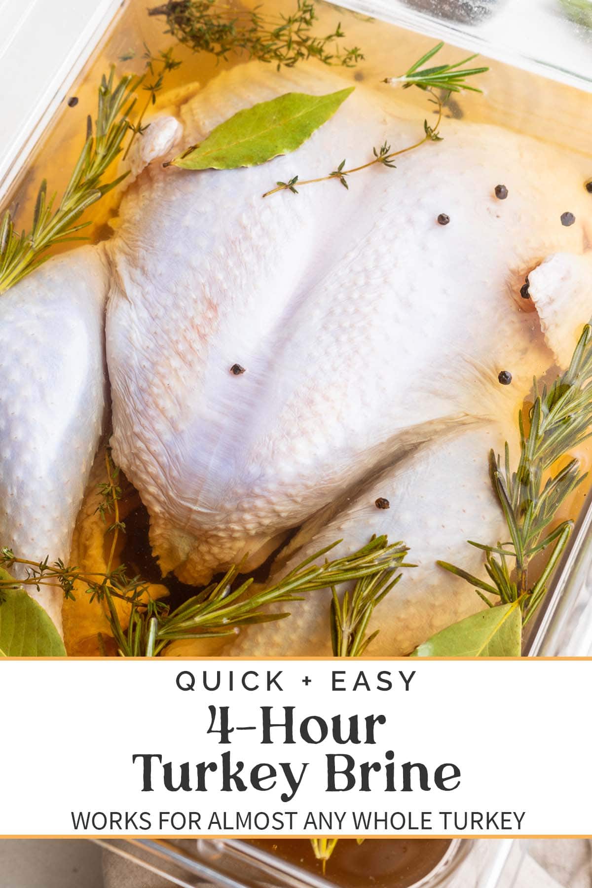 Super Easy Turkey Brine Recipe - Munchkin Time