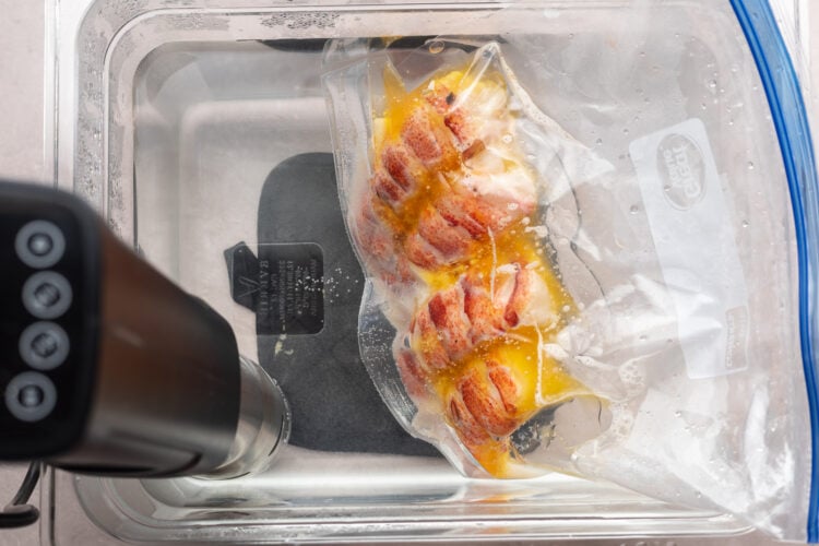 Overhead view of lobster tails in a plastic bag submerged in a sous vide water bath.