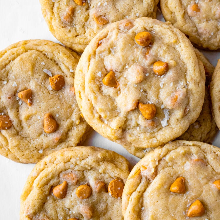 Overhead view of a pile of chewy butterscotch cookies on a neutral background.