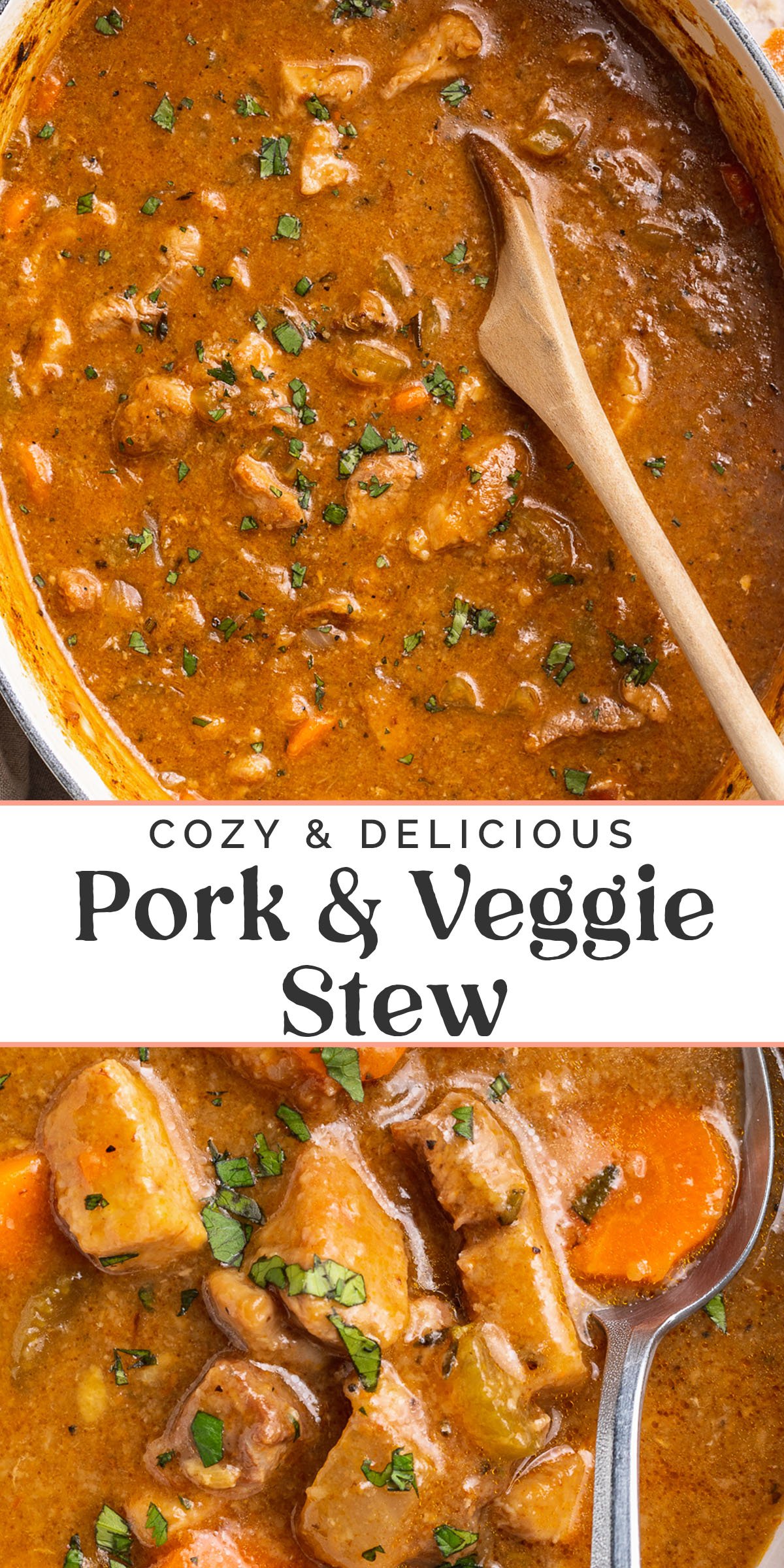 Pin graphic for pork stew.