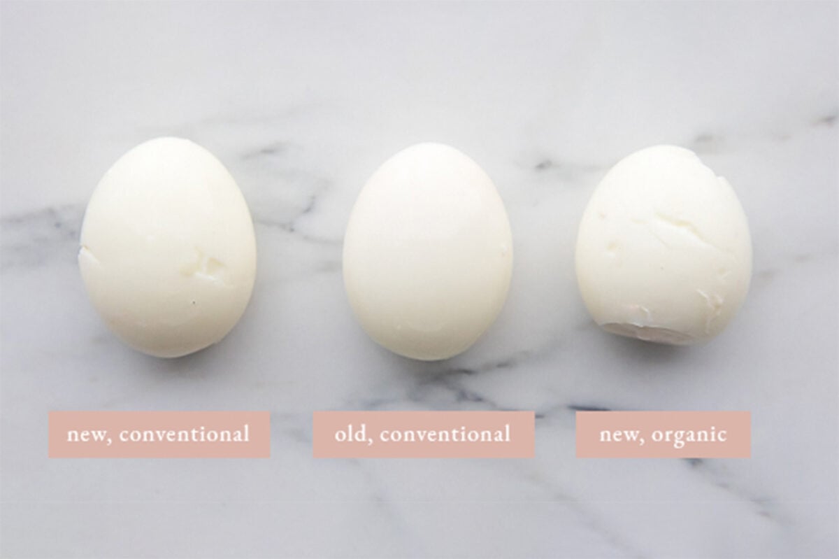 Comparing old, new, and organic boiled eggs.