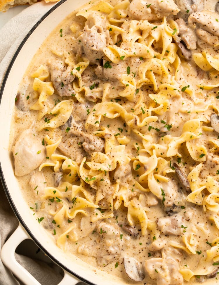Chicken stroganoff with egg noodles in a large heavy-bottomed dish.
