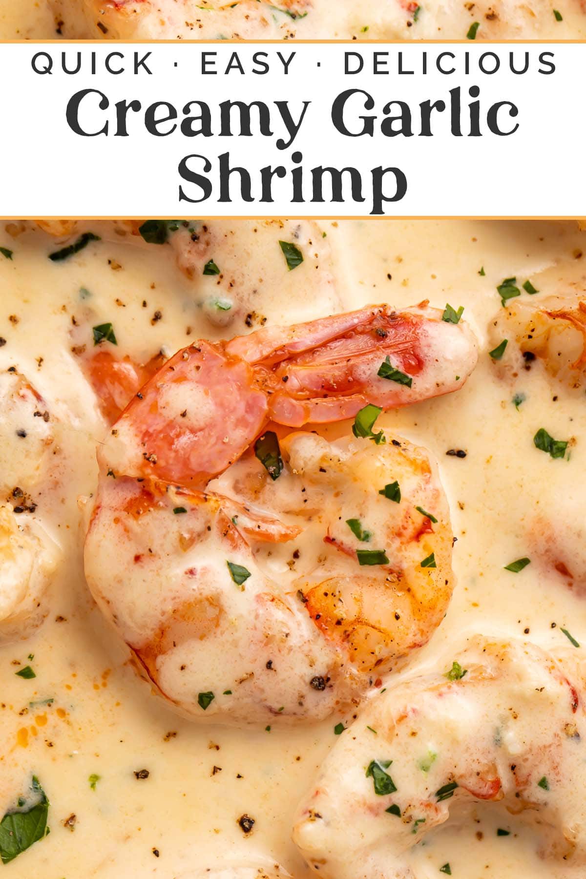 Pin graphic for creamy garlic shrimp.