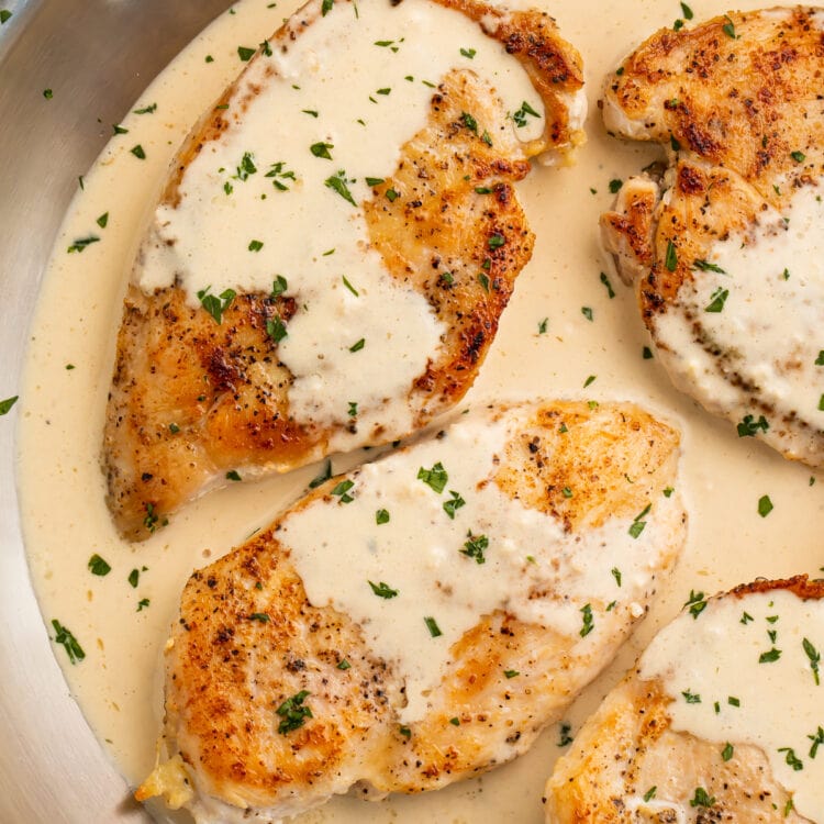 Cream cheese garlic chicken in a skillet with cream cheese sauce.