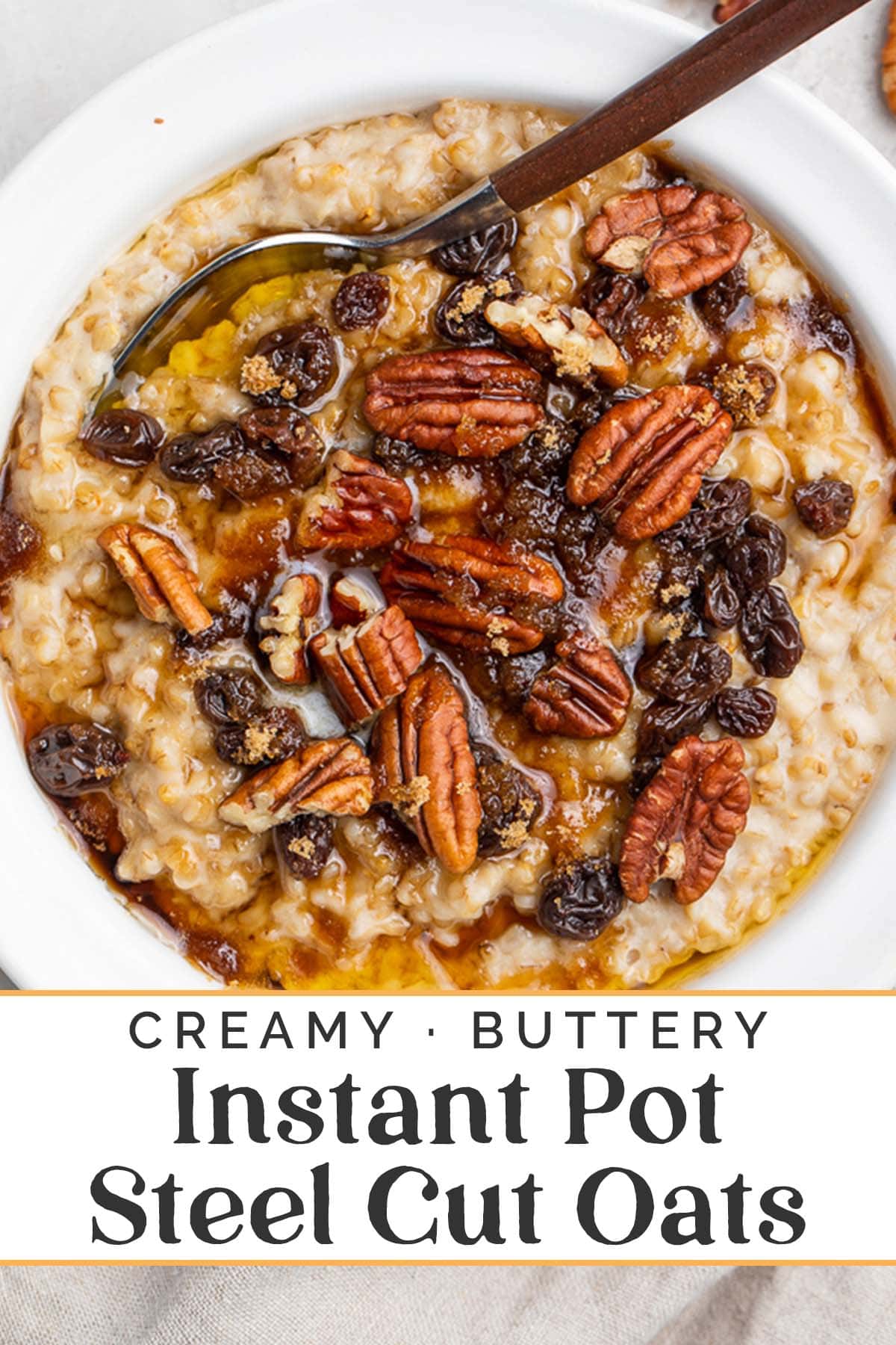Pin graphic for Instant Pot steel cut oats.