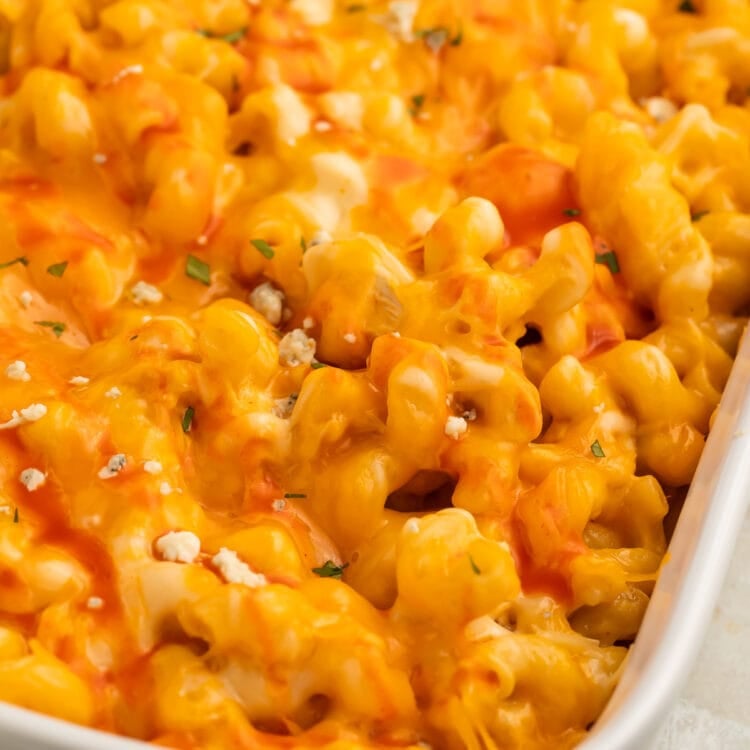 Close-up of orange buffalo chicken mac and cheese in a large rectangular casserole dish.