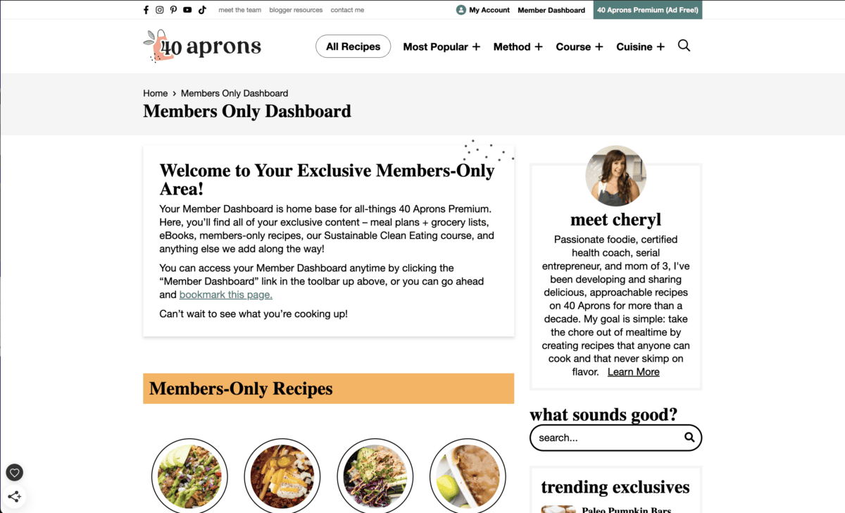 Screenshot of the 40 Aprons Premium member dashboard landing page.