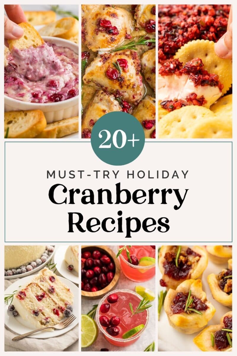 20+ Cranberry Recipes You Have to Try This Holiday Season - 40 Aprons