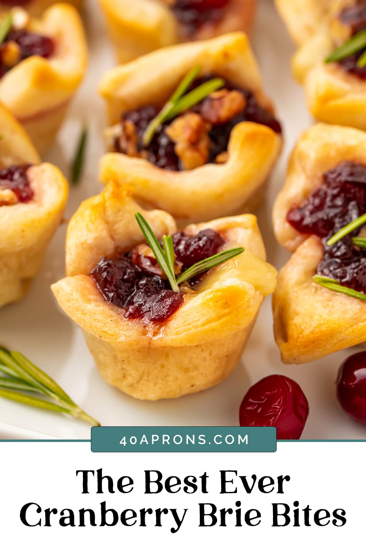 Graphic for the best cranberry brie bites.