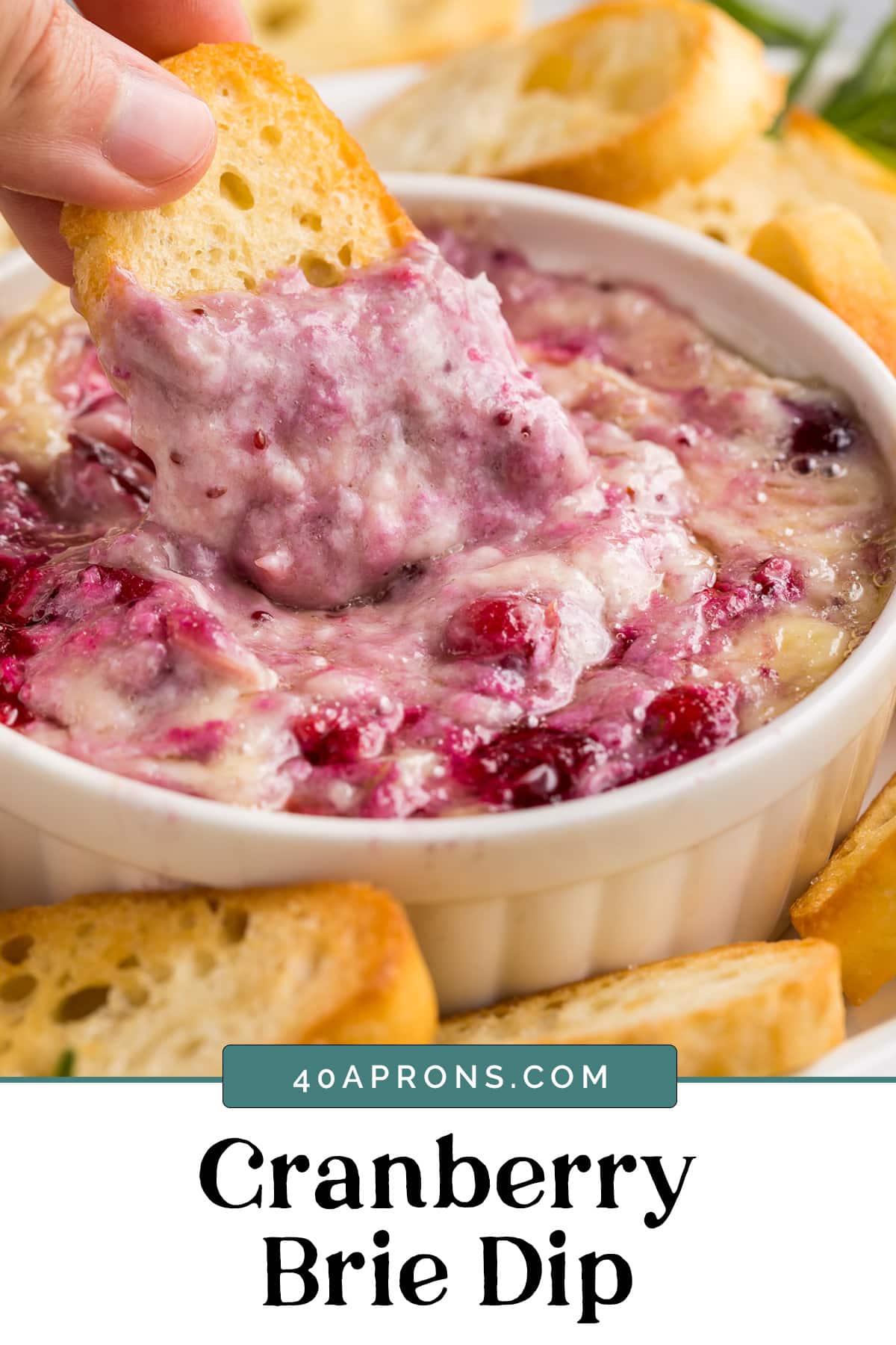 Graphic for cranberry brie dip.