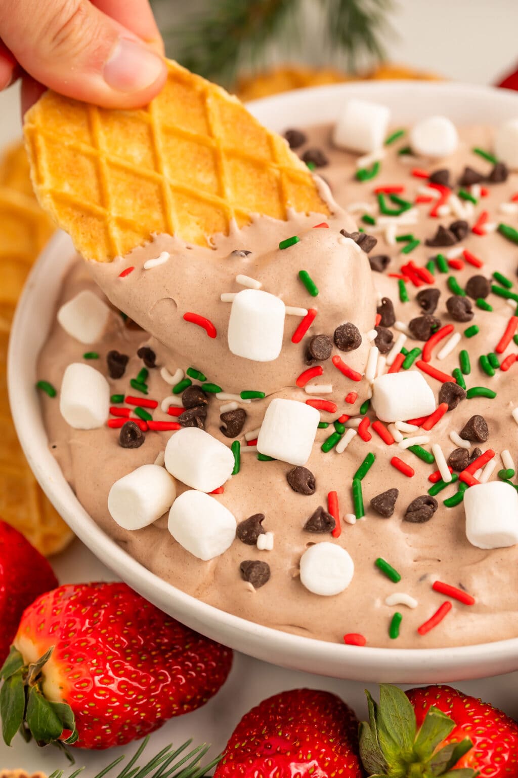 Hot Cocoa Dip - 40 Aprons