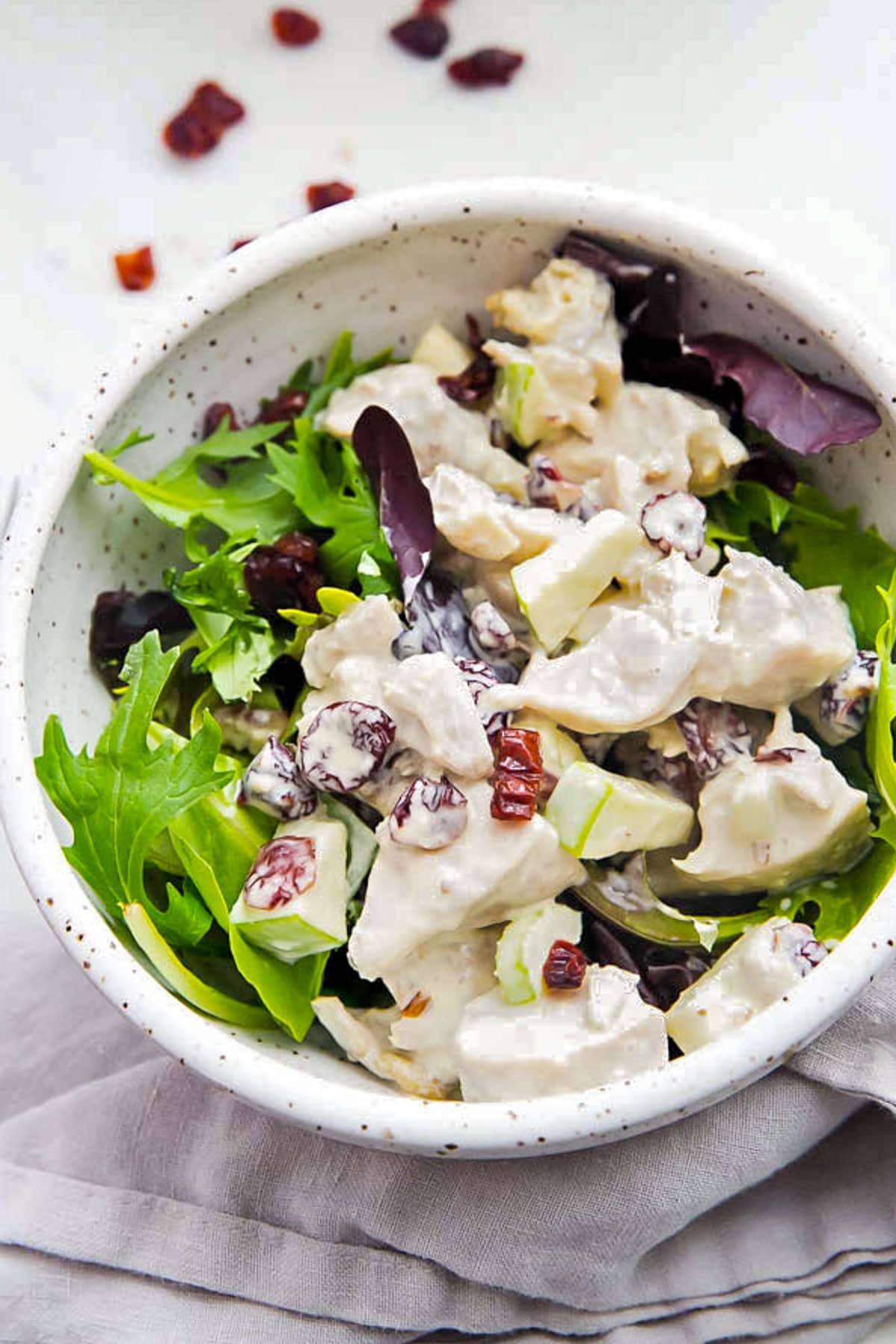 A top-down look at a bowl of cranberry chicken salad on a bed of green lettuce.