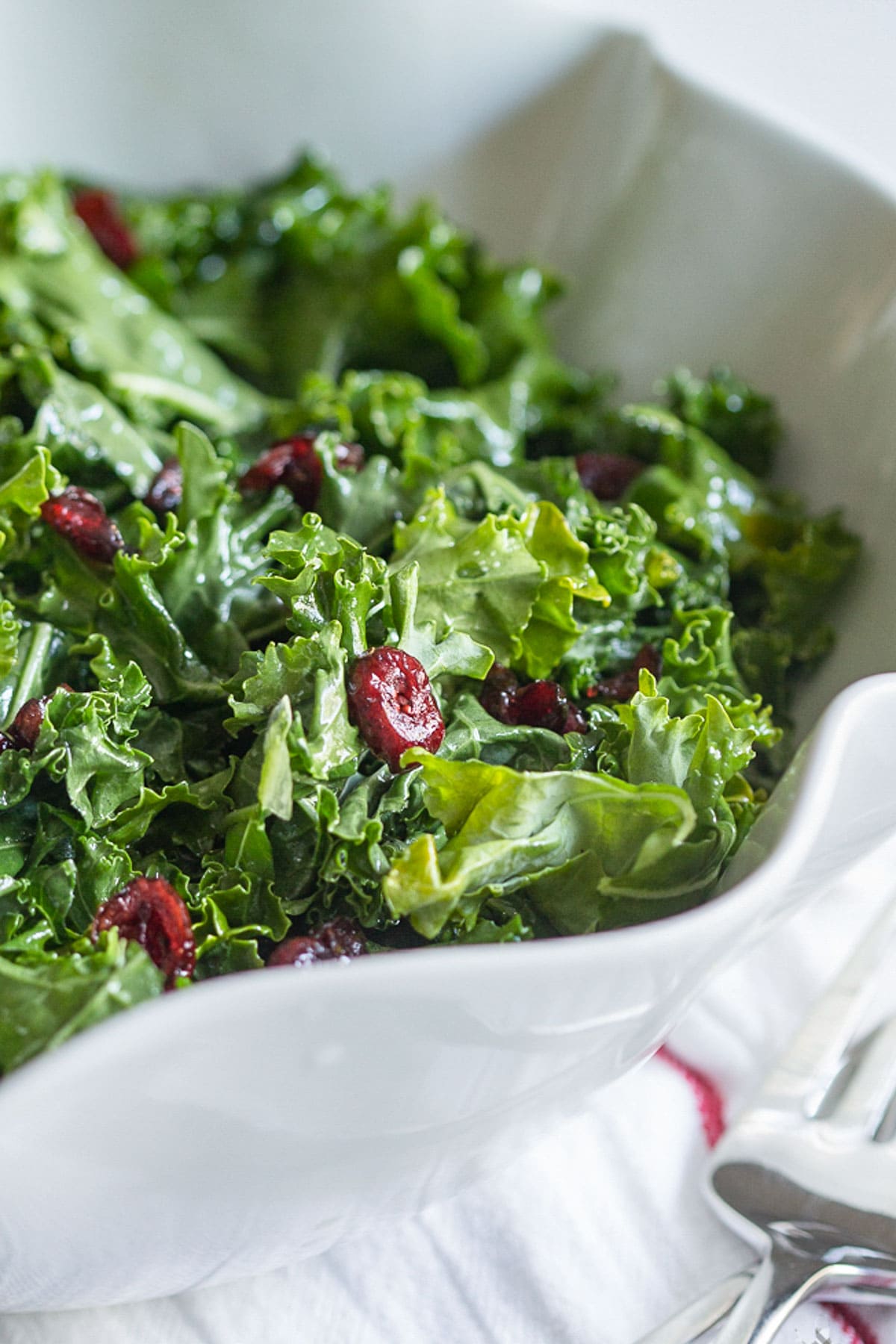 A large scalloped bowl holding a kale salad dotted with deep red cranberries.