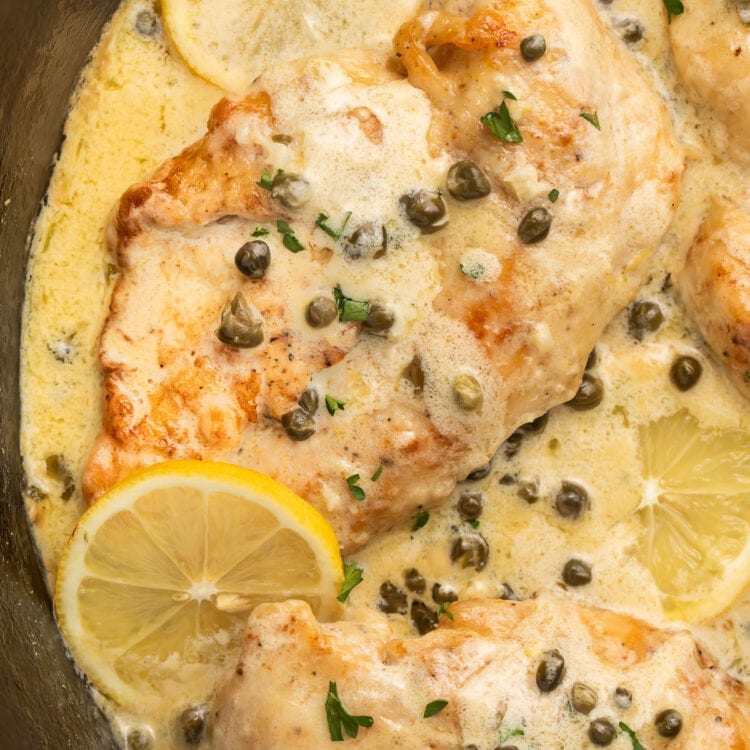 A cast-iron skillet holding creamy chicken piccata with lemon sauce and capers.