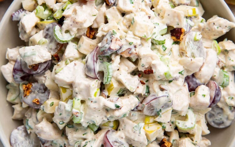 Creamy chicken salad with halved grapes and chopped pecans.